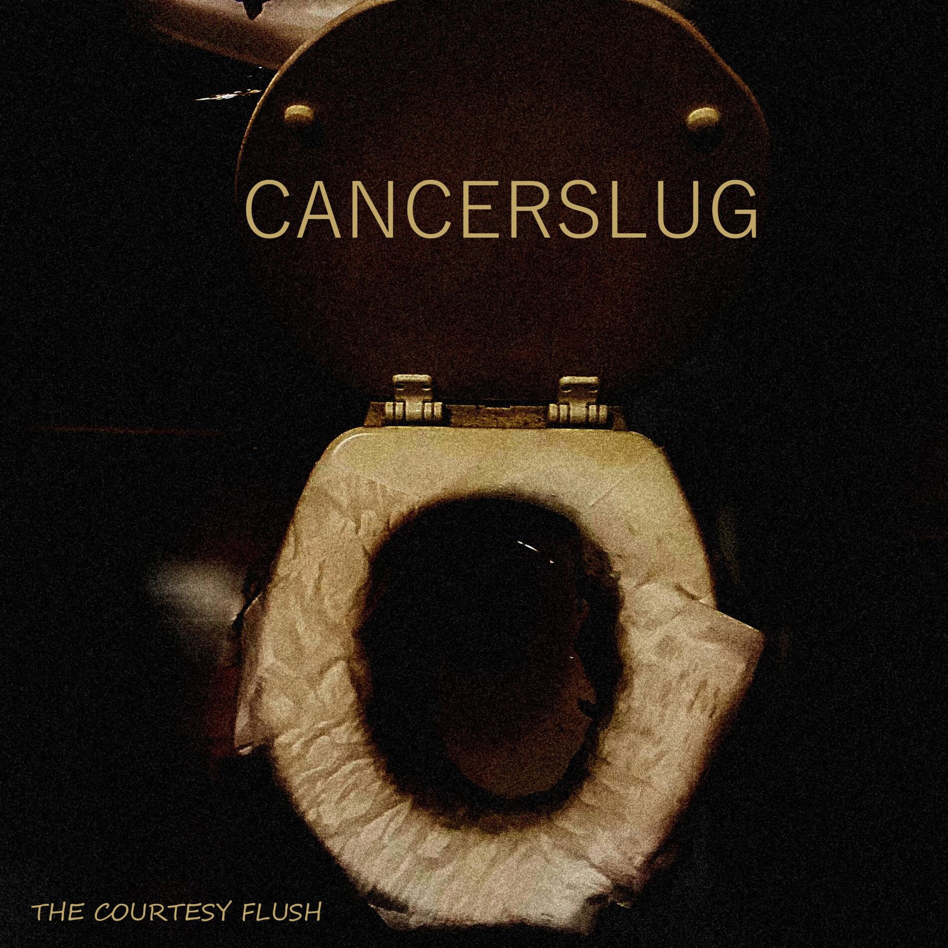 Album cover of The Courtesy Flush