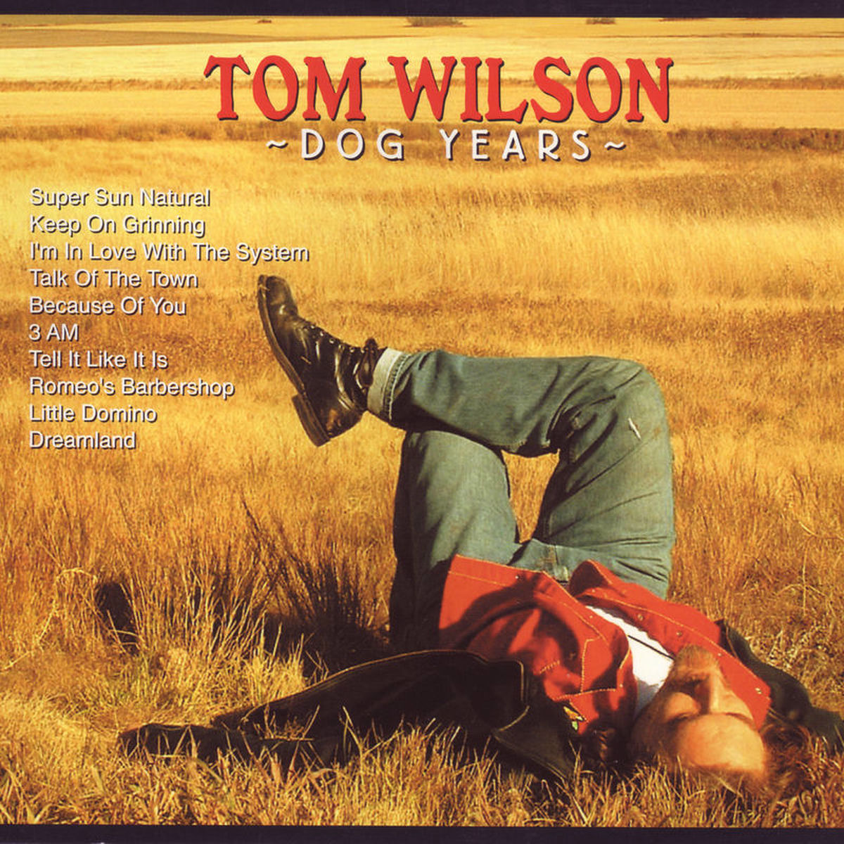 Album cover of Dog Years