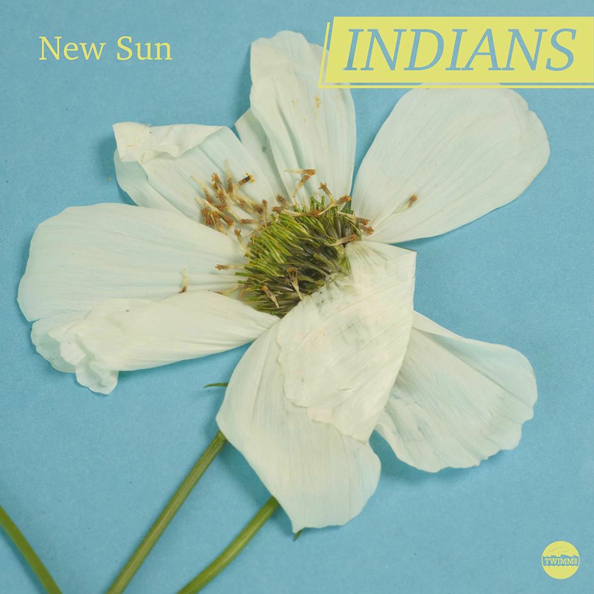 Album cover of New Sun