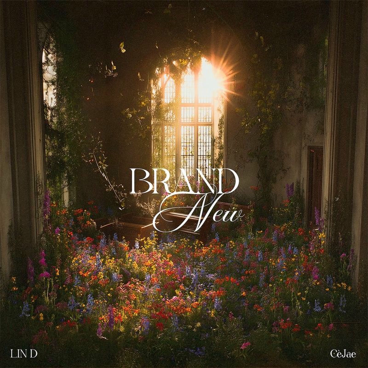 Album cover of Brand New