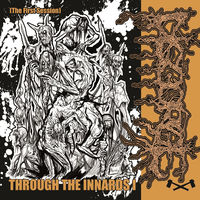 Disgorge Mex: albums, songs, concerts | Deezer