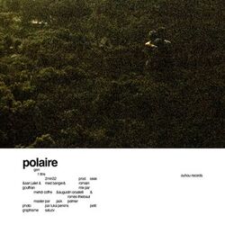 Polaire