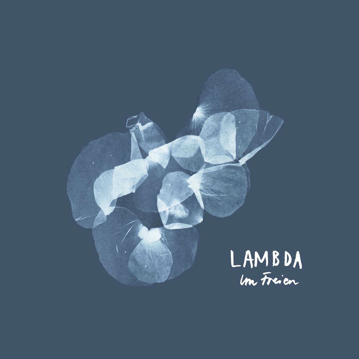 Album cover of Im Freien