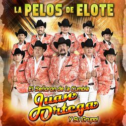 Cover of LA PELOS DE ELOTE