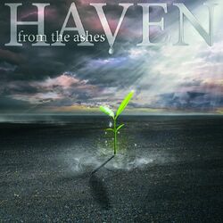Cover of From the Ashes