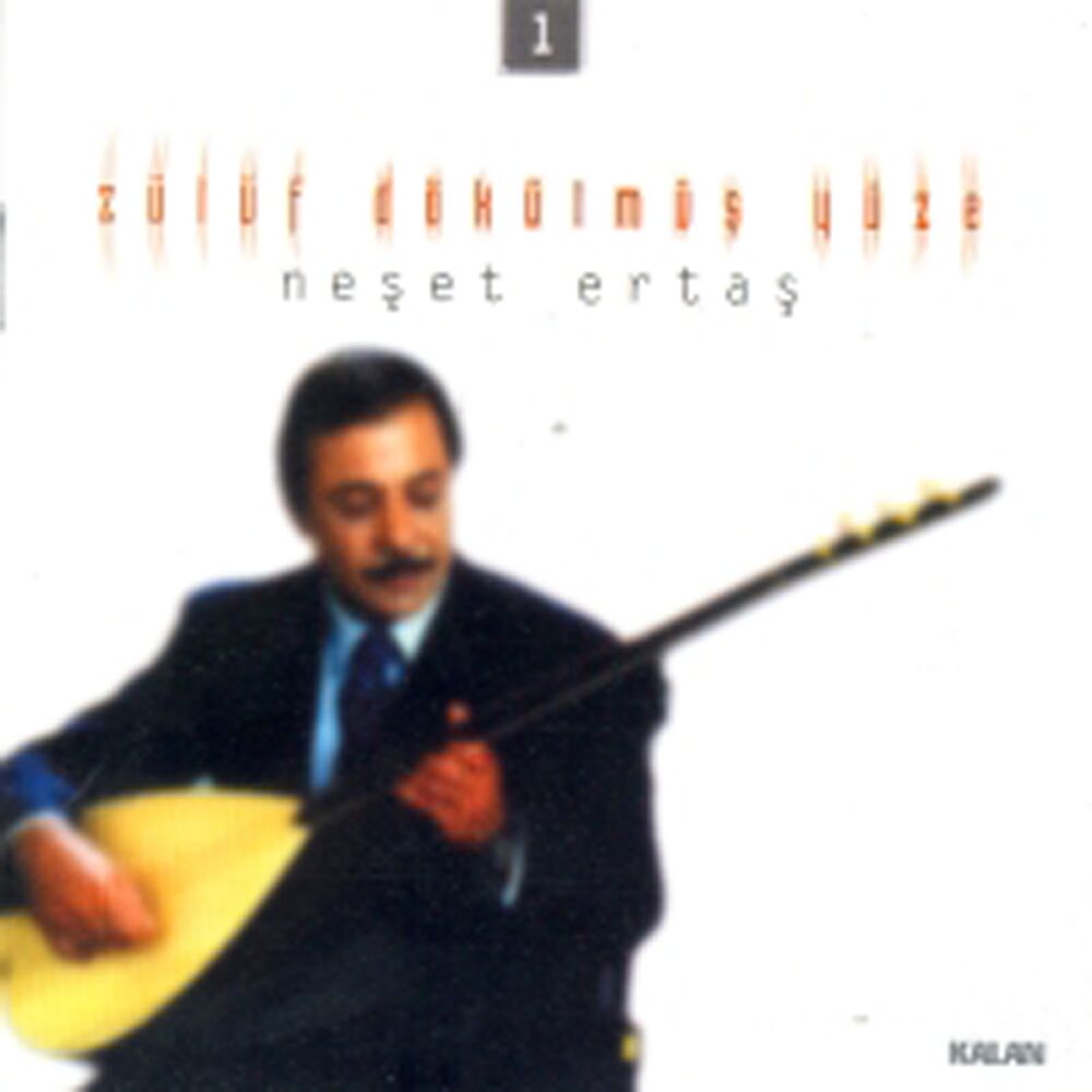 Picture of Zülüf Dökülmüş Yüze
