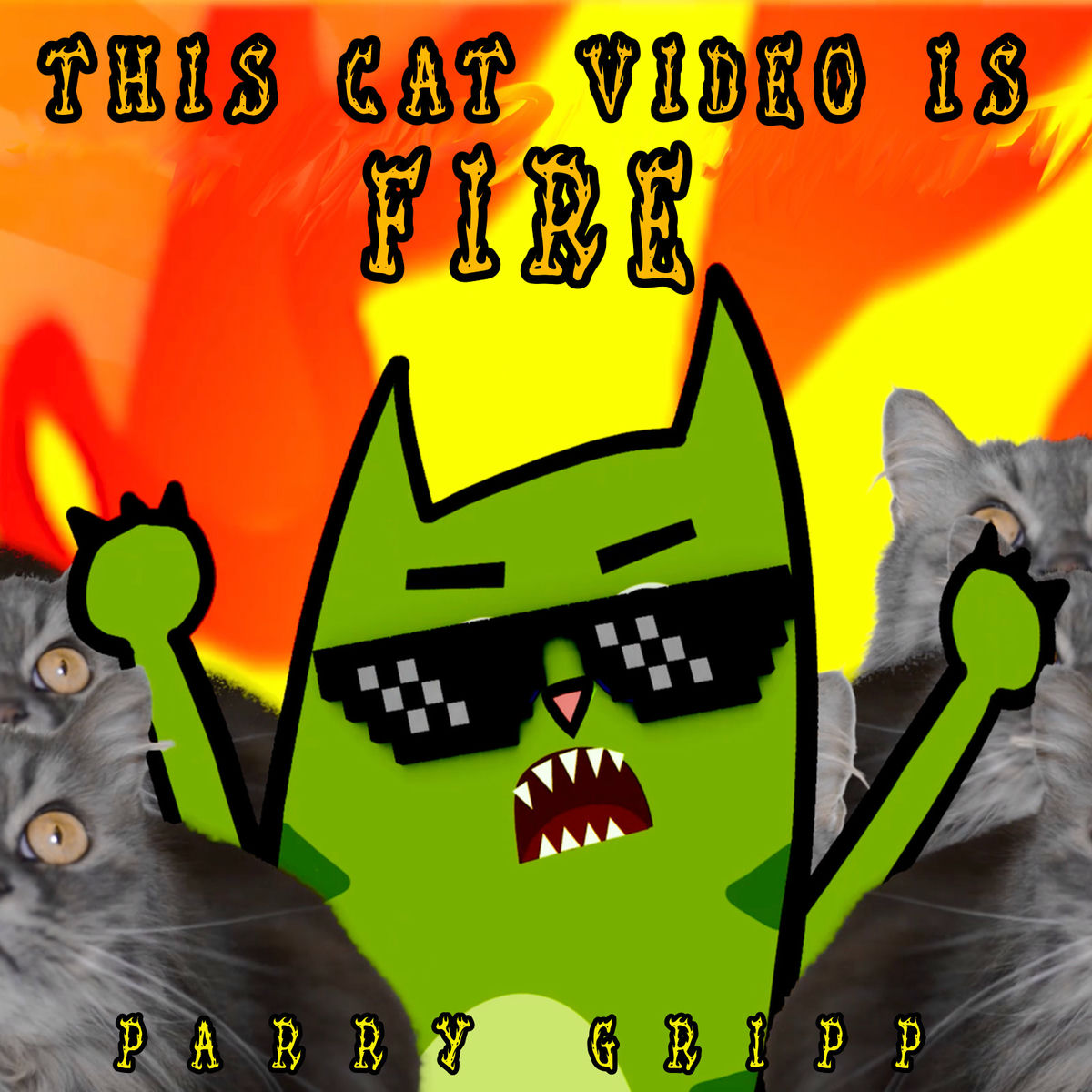 Album cover of This Cat Video Is Fire (Slightly Longer Mix)