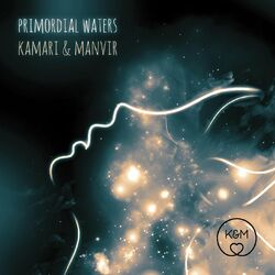 Cover of Primordial Waters