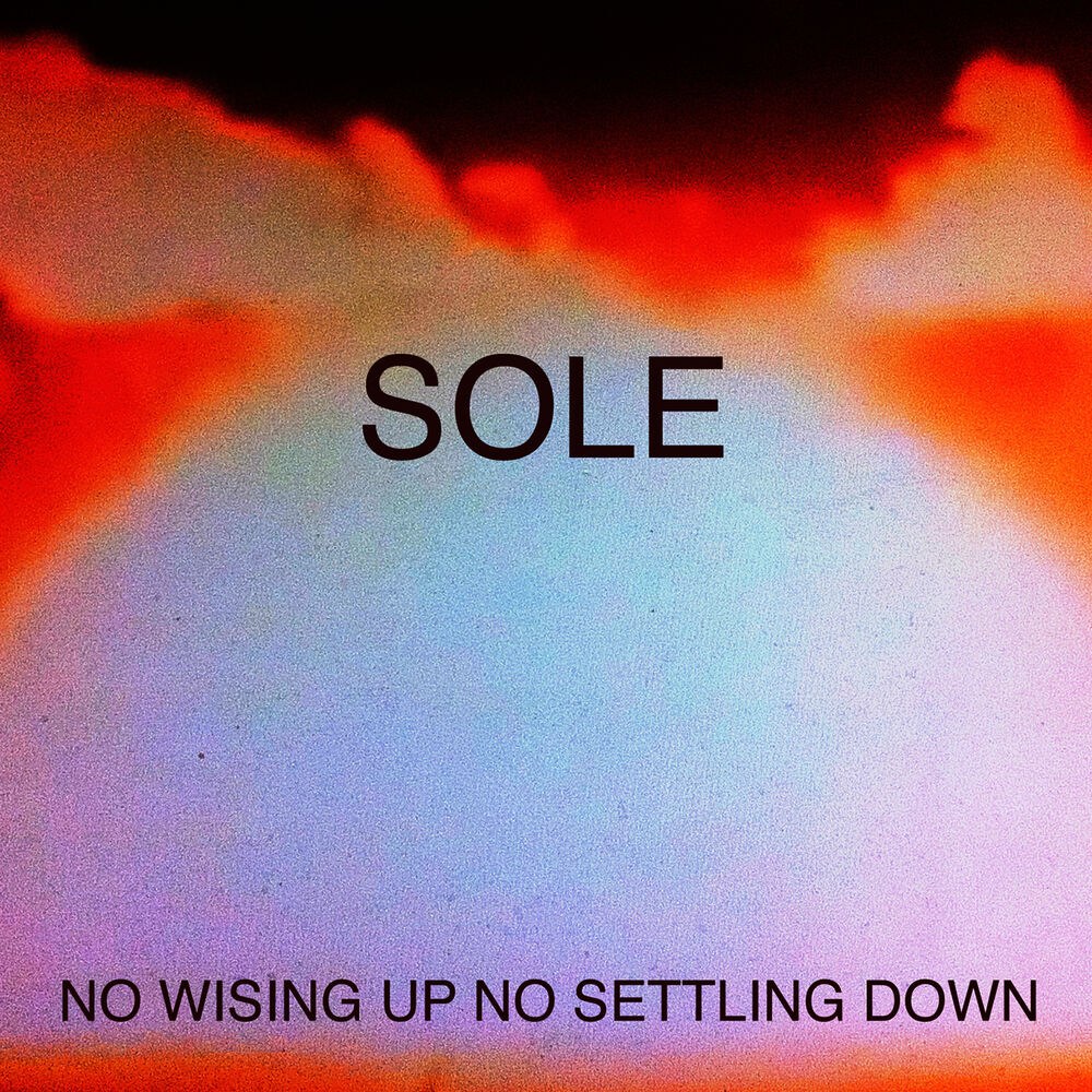Picture of No Wising up No Settling Down