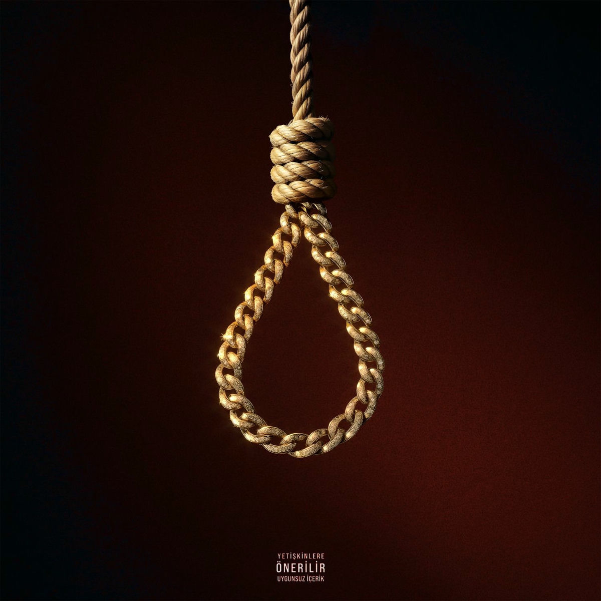 Album cover of Mükemmeliyetçi