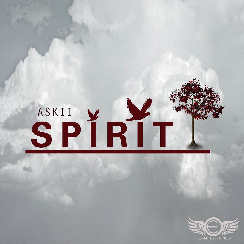 Picture of Spirit