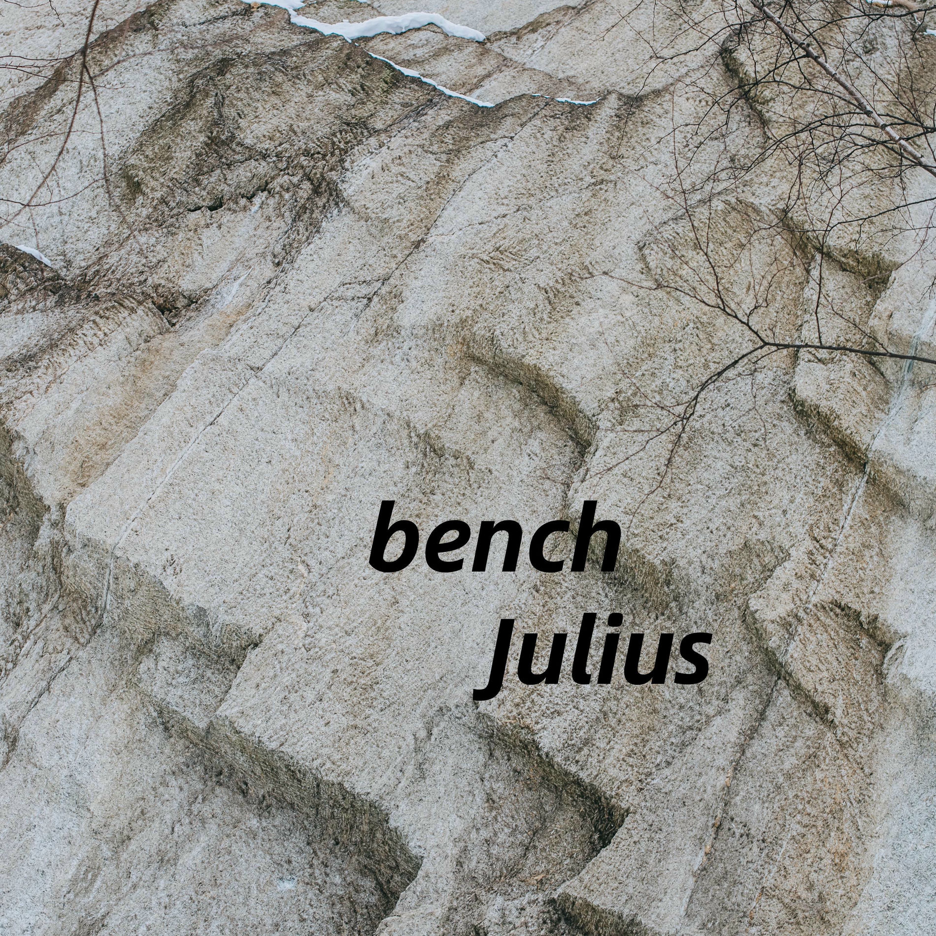 Album cover of bench