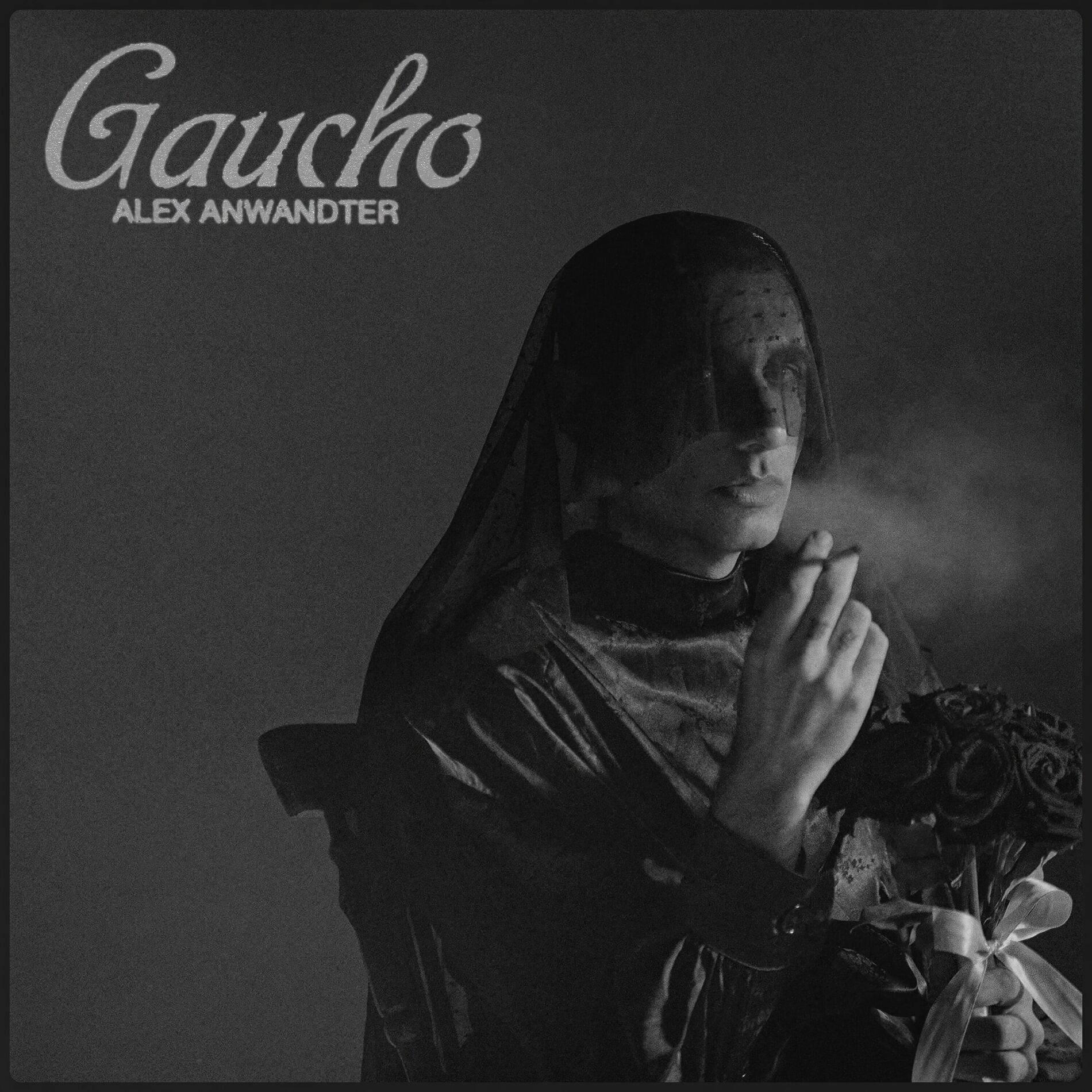 Album cover of Gaucho