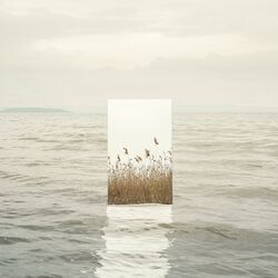 Cover of Non esiste altro