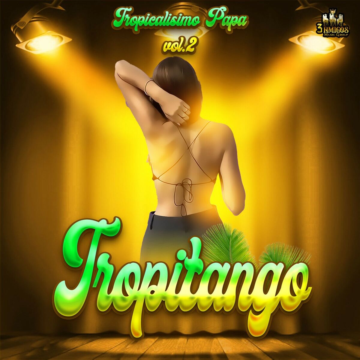 Album cover of Tropicalisimo Papa Vol. 2