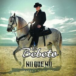 Cover of No Que No (Banda Y Toloche)
