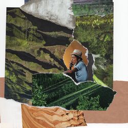 Cover of Ancient Forest