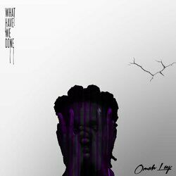 Cover of What Have We Done