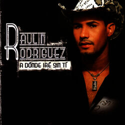 Cover of A Donde Ire Sin Ti
