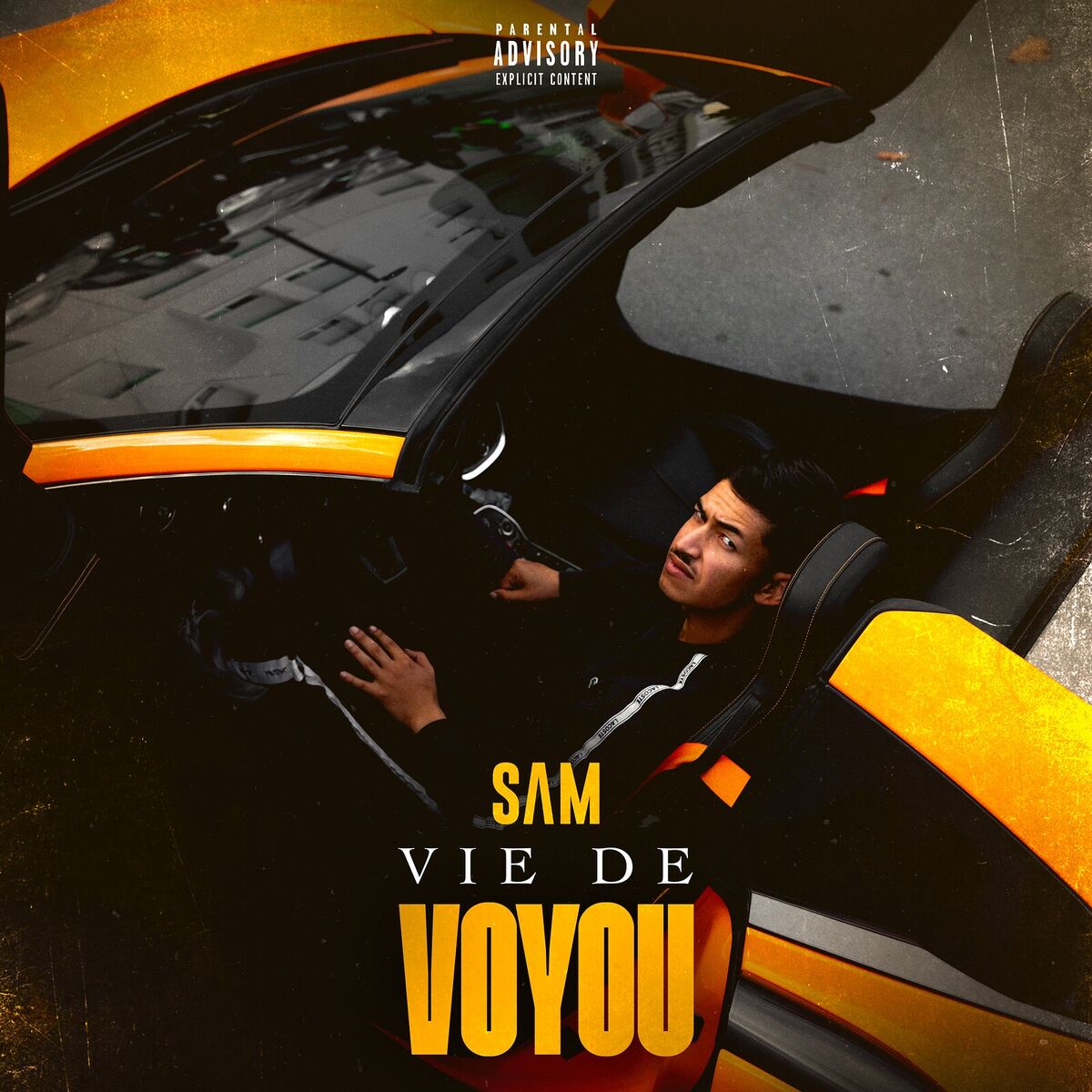 Album cover of Vie de voyou