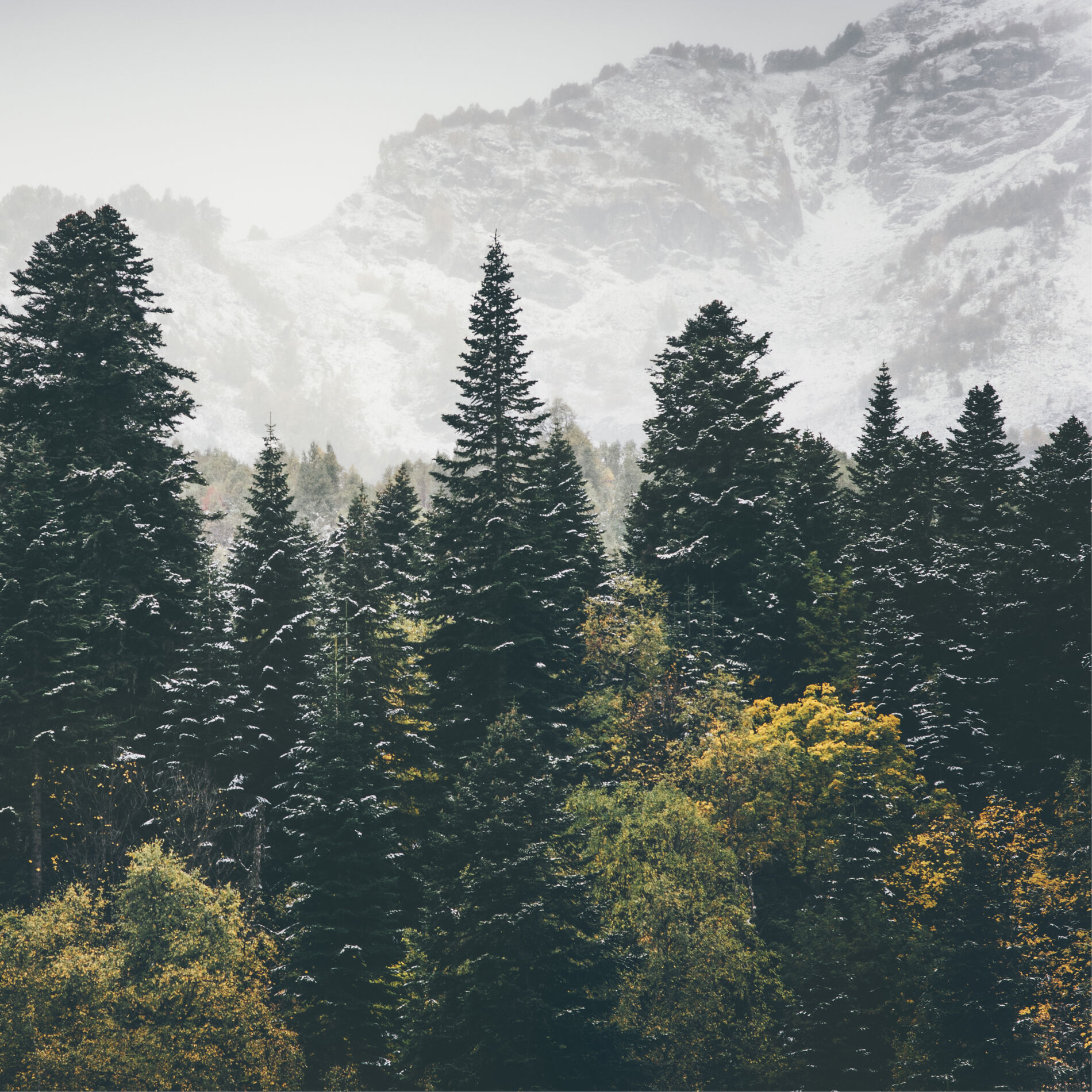 Album cover of Meditatieve Soundscapes (Ambient)