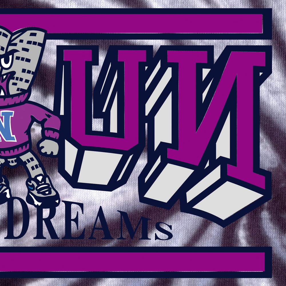 Picture of CITY OF DREAMS