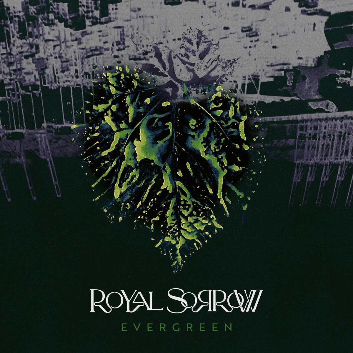 Album cover of Evergreen