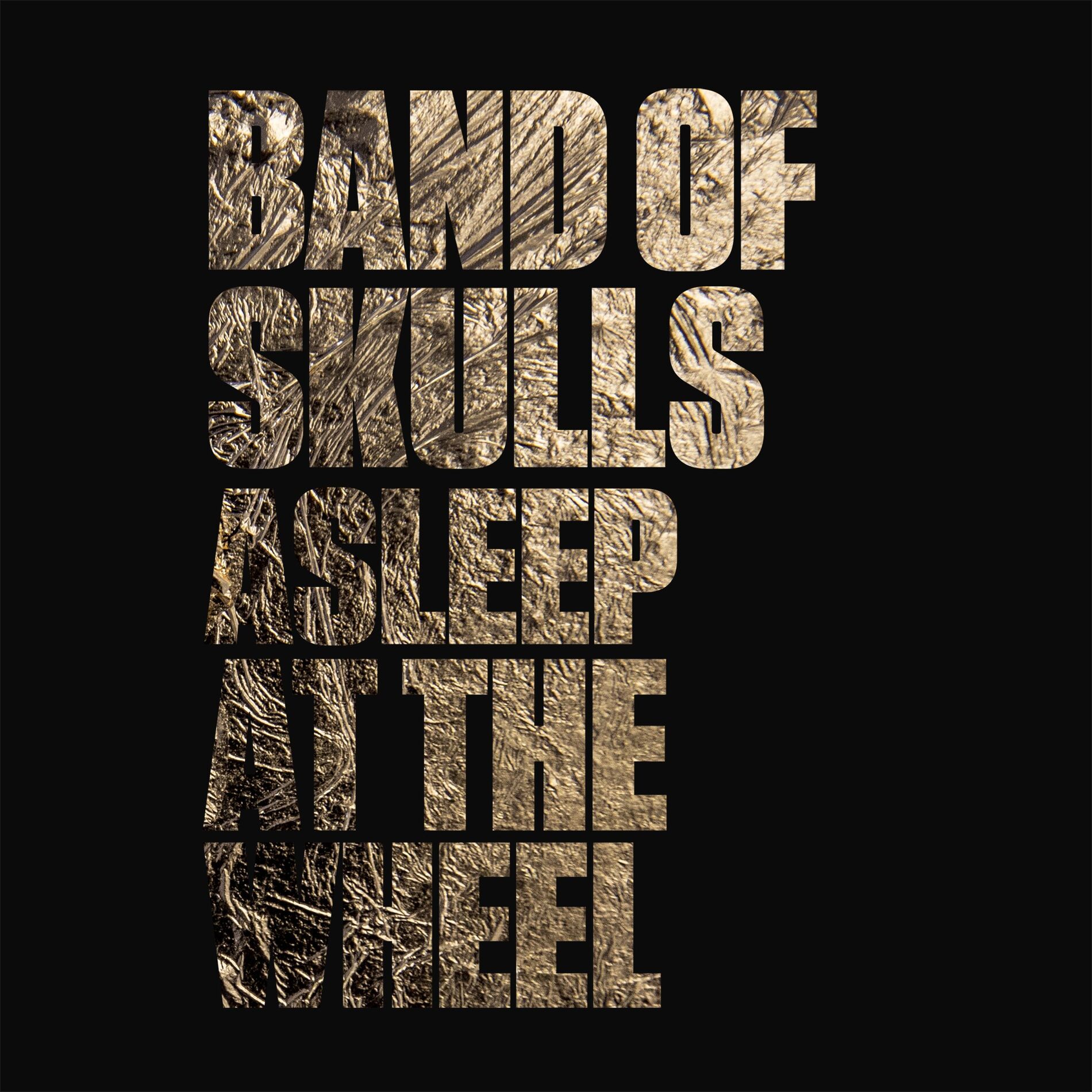 Album cover of Asleep at the Wheel