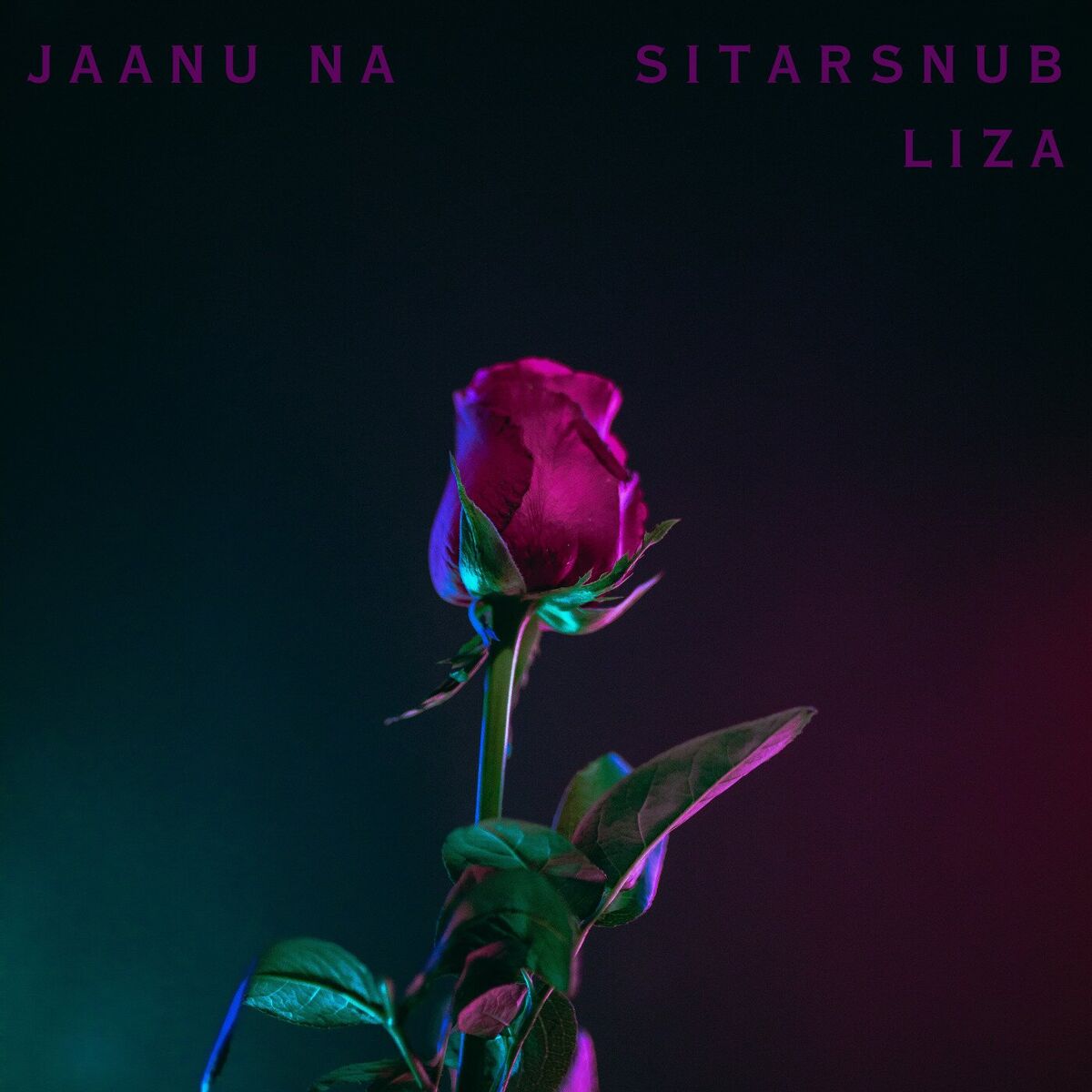 Album cover of Jaanu Na