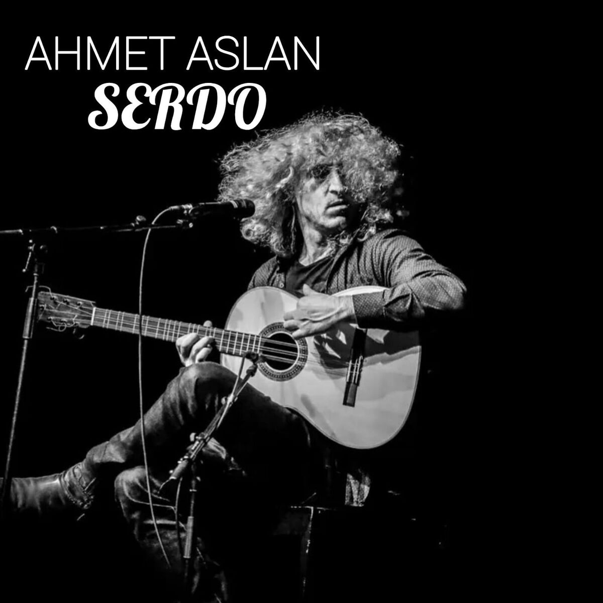 Album cover of Serdo