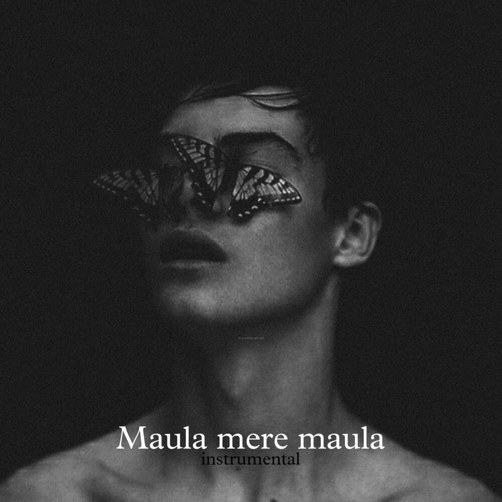 Picture of Maula Mere Maula Instrumental