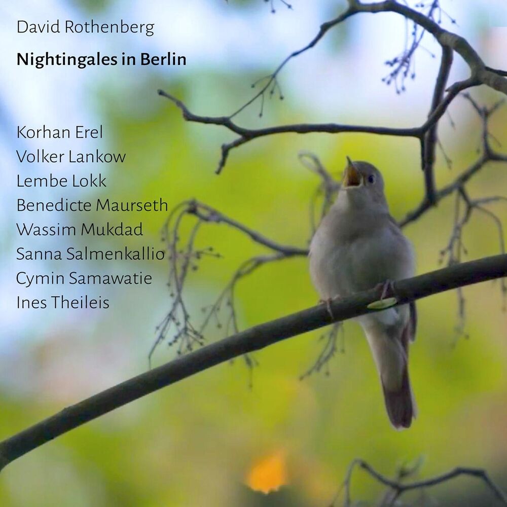 Picture of Nightingales in Berlin