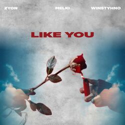 Cover of Like you