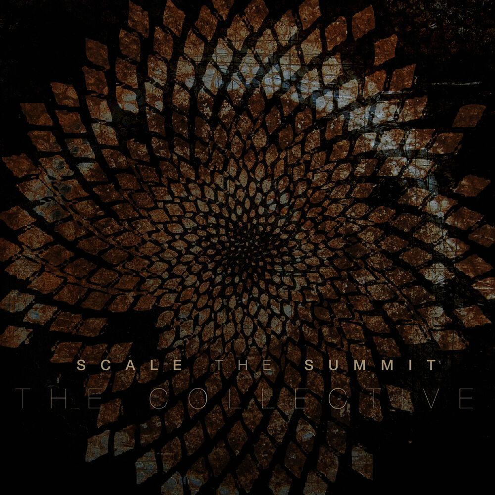 Picture of The Collective