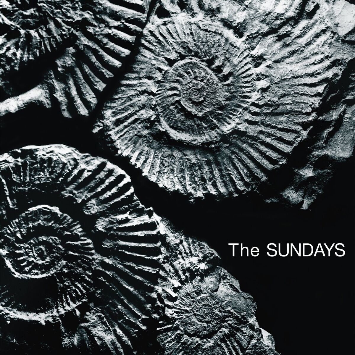 Album cover of Reading, Writing And Arithmetic