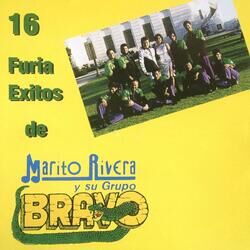 Cover of 16 Furia Exitos Vol 1