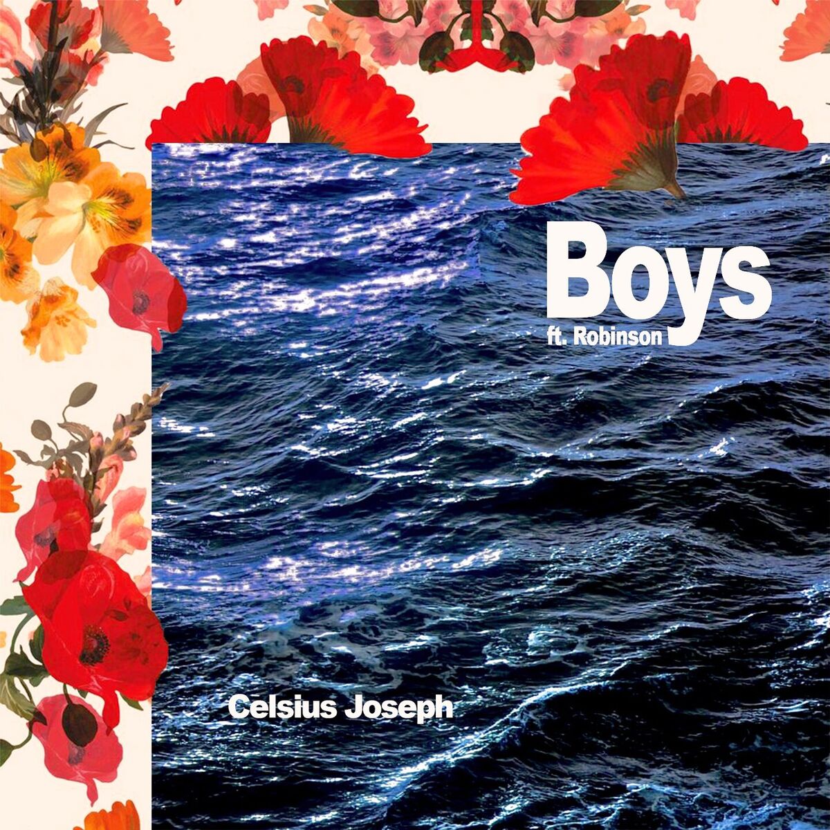 Album cover of Boys