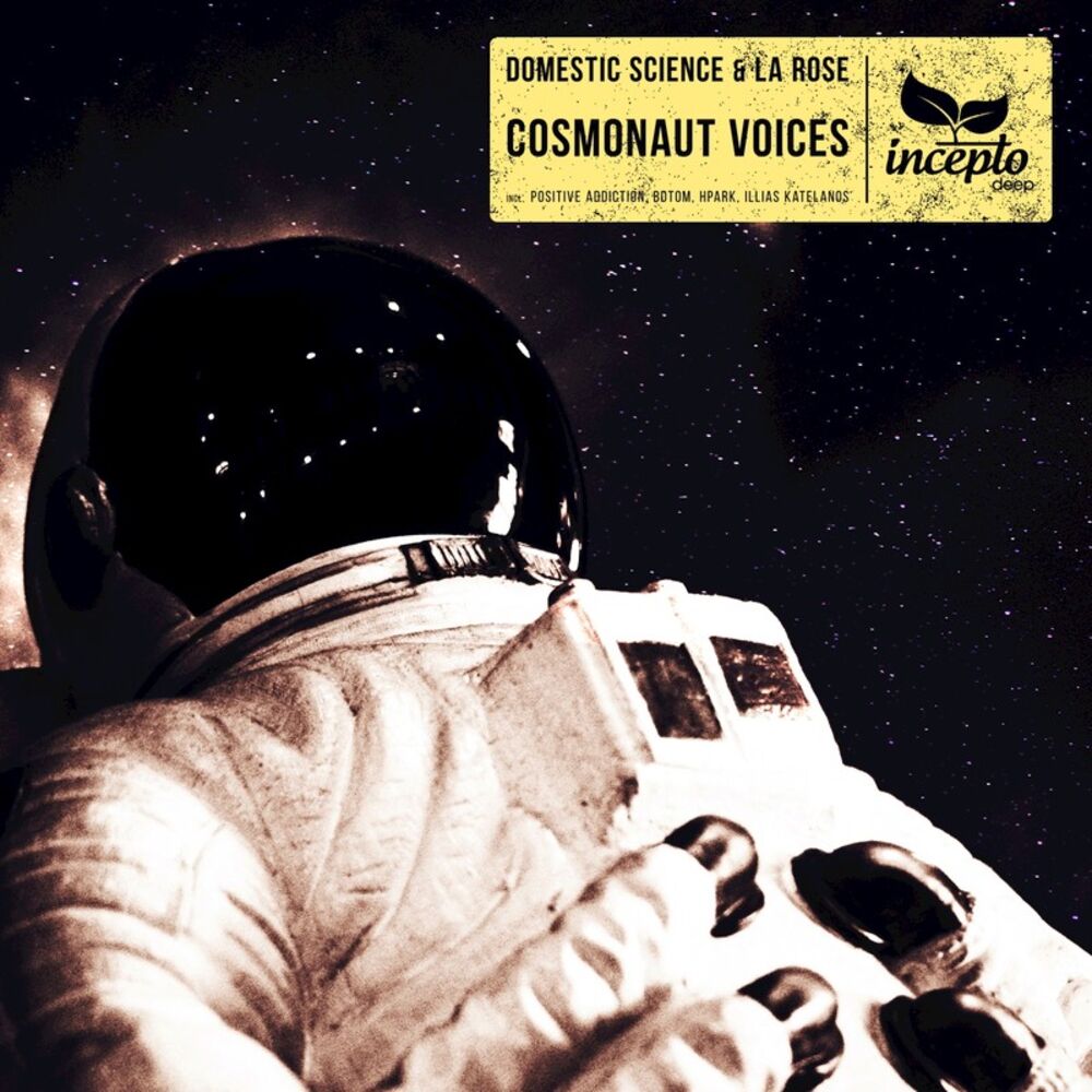 Picture of Cosmonaut Voices