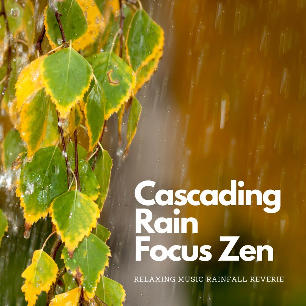 Picture of Cascading Rain Focus Zen: Relaxing Music Rainfall Reverie