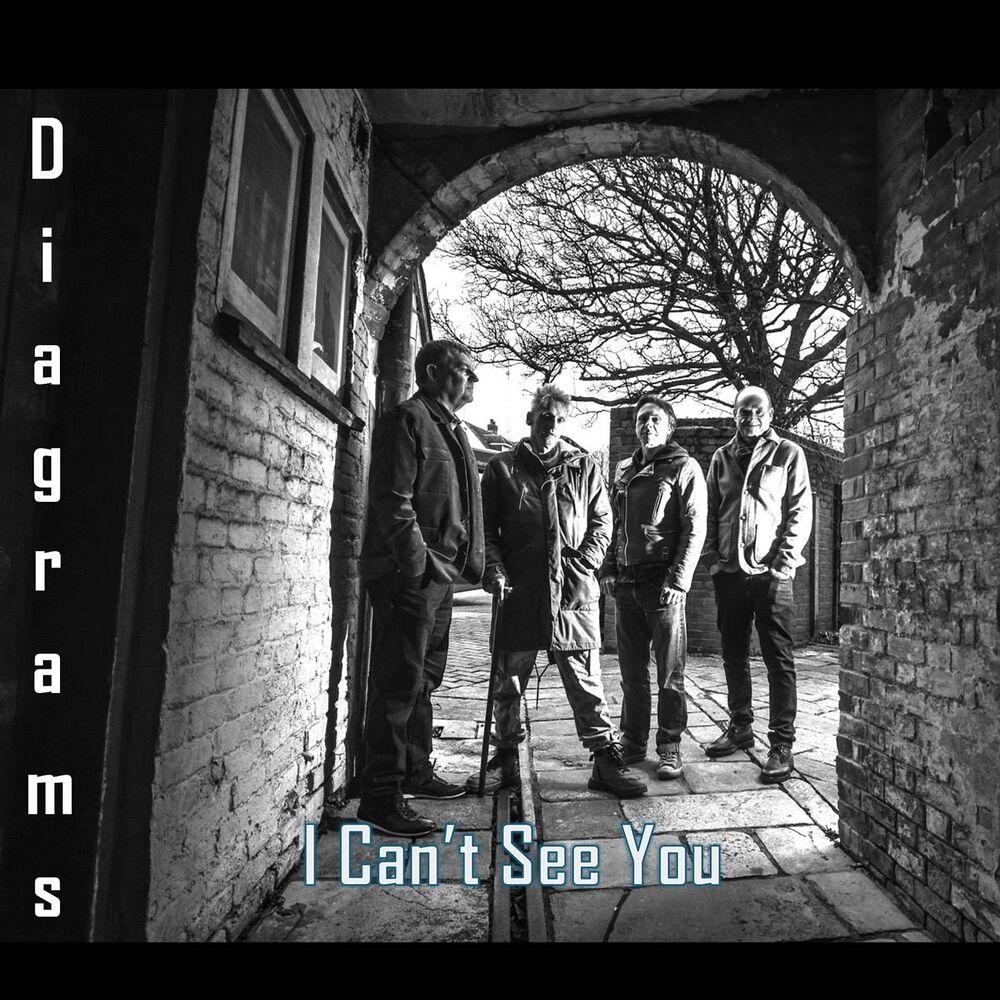 Picture of I Can't See You