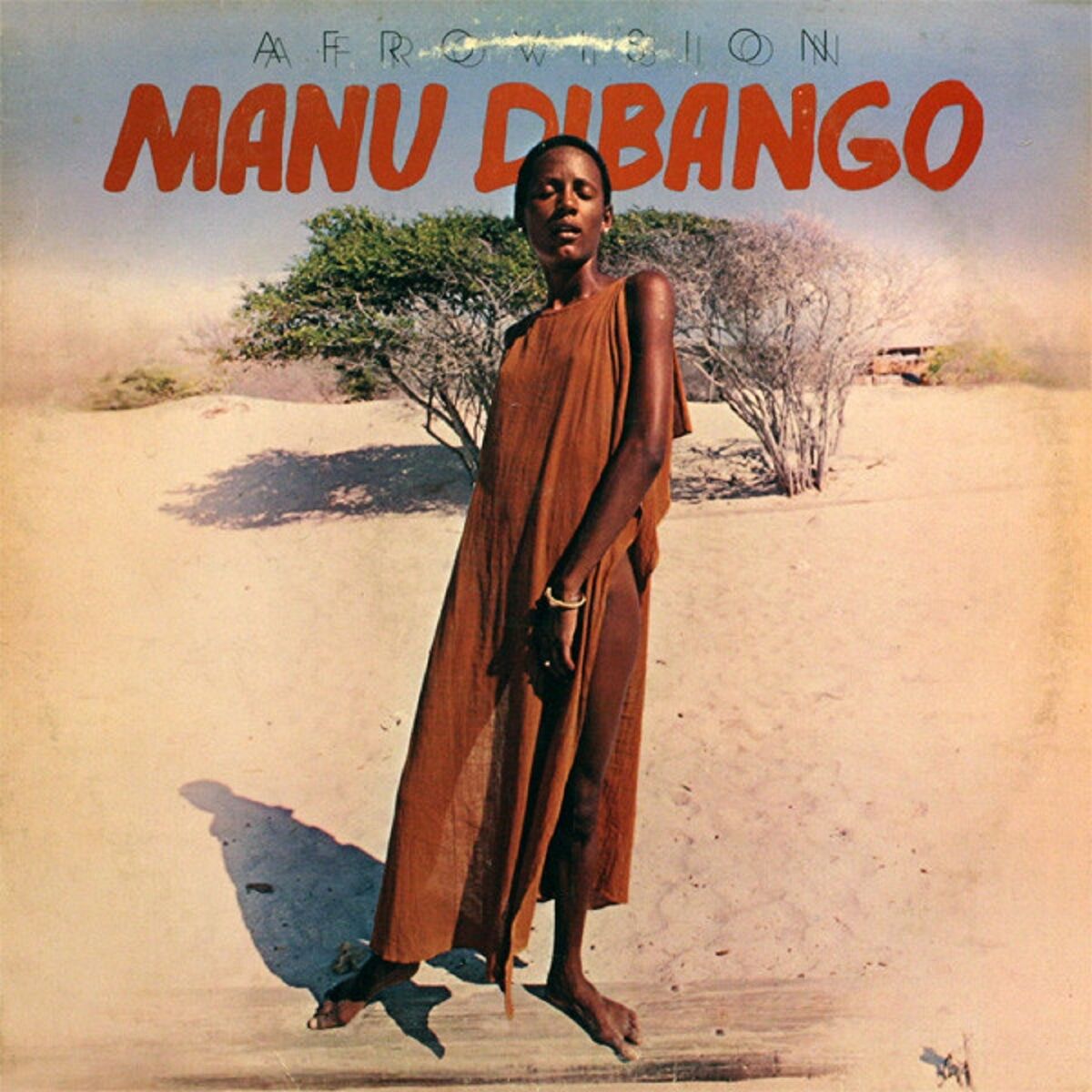 Album cover of Afrovision
