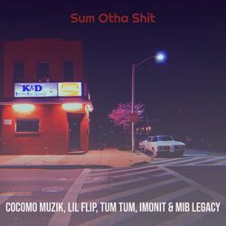 Cover of Sum Otha Shit