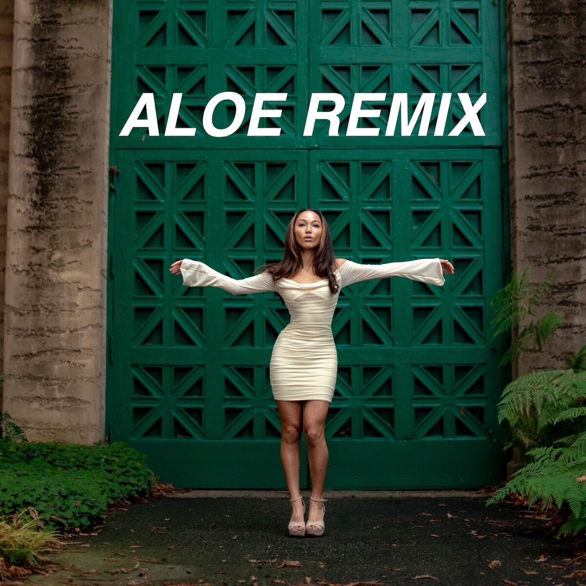 Album cover of aloe remix