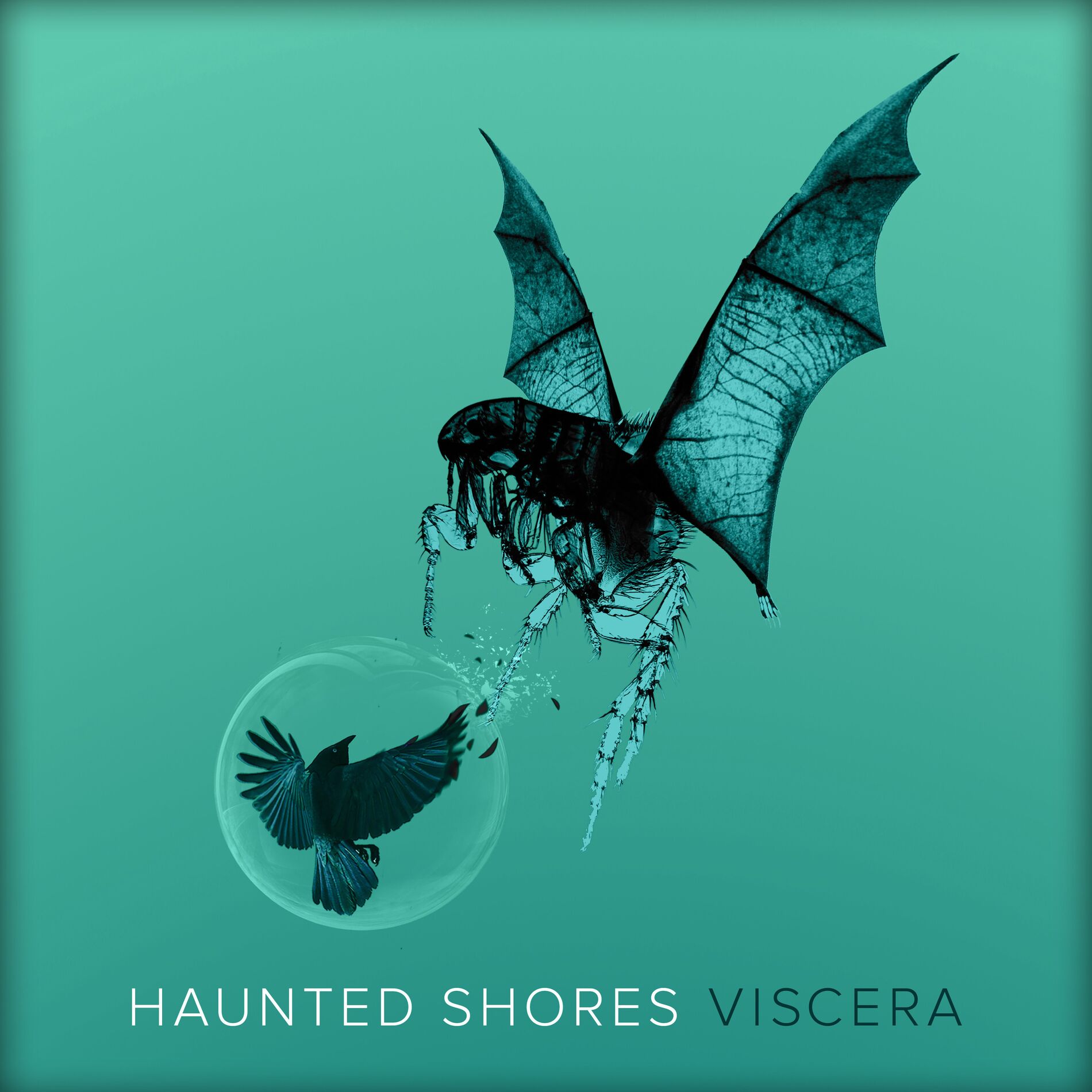Album cover of Viscera