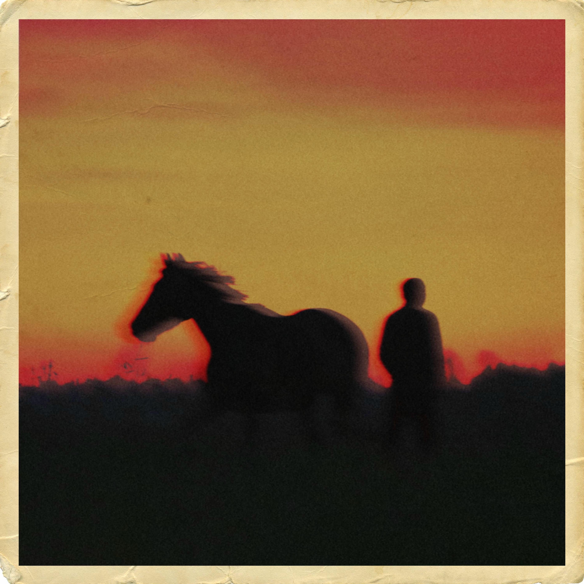 Album cover of Peace in the Pines