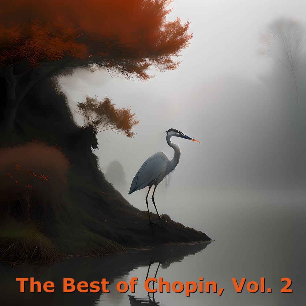 Picture of The Best of Chopin, Vol. 2