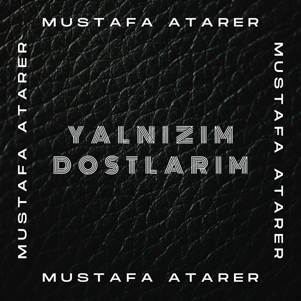 Album cover of Yalnızım Dostlarım