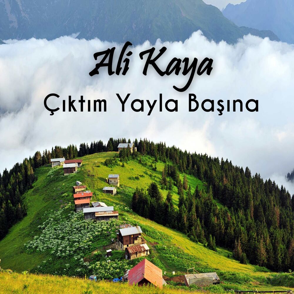 Picture of Çıktım Yayla Başına