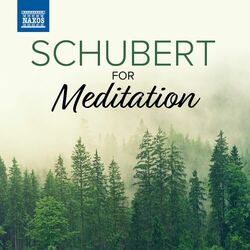 Cover of Schubert For Meditation