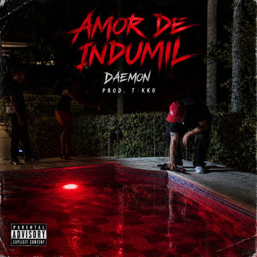 AMOR DE INDUMIL